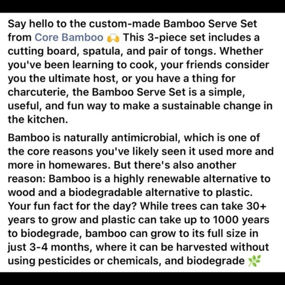 Core Bamboo Serve Set NEW - Picture 4 of 5